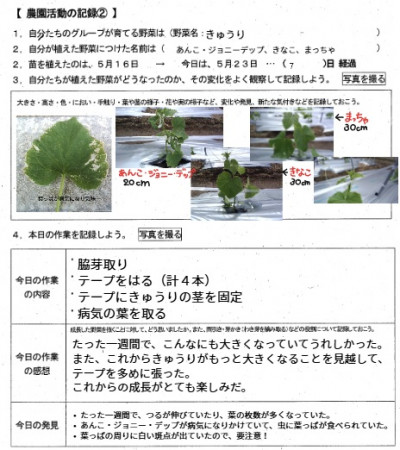 ワークシート