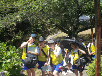 DSCN0184