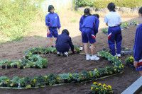 blobid1763111746621 (1)