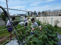 DSCN0246