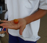 DSCN0244