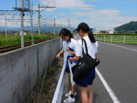 DSCN3164