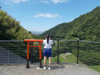 DSCN0208
